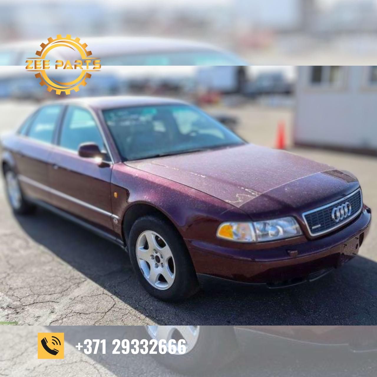 WhatsApp Image 2025-11-24 at 10.04.46